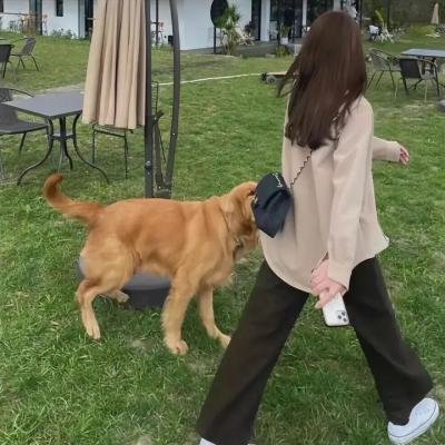 红天使
